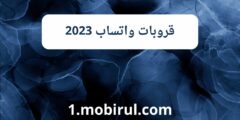 تطبيق قروبات واتساب 2023