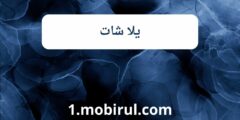 تطبيق يلا شات